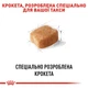 Сухий корм для собак Royal Canin Dachshund Adult 1,5 кг - изображение 4