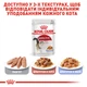 Вологий корм для котів Royal Canin Instinctive Gelee 85 г - изображение 6