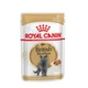 Вологий корм для дорослих котів породи британська короткошерста Royal Canin British Shorthair Adult pouch 85 г (домашній птах) - зображення 1