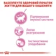 Вологий корм для котят Royal Canin Kitten Loaf 85 г (домашній птах) - зображення 2