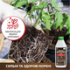 Удобрение органическое УКОРІНЮВАЧ Українські гумати BioActive для роста и укрепления корневой системы с комплексом Humic & Fulvic acid, микроэлементами и аминокислотами, легкодоступный концентрат 1 кг (4820219190202) - изображение 6
