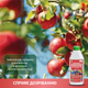 Удобрение органическое ПЛОДОНОШЕННЯ Українські гумати BioActive для цветения, завязи и размера плодов с комплексом Humic & Fulvic acid, микроэлементами и аминокислотами, легкодоступный концентрат 1 кг (4820219190226) - изображение 12