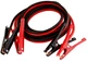 Стартові дроти Mastertool 600 А 4 м (81-0126) - зображення 1