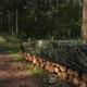 Тент камуфляж Bradas CAMOforest, 6х8м, 90 г/м², PLCF906/8 - зображення 5