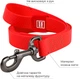 Поводок для собак водостойкий Collar WAUDOG Waterproof, S, Ш 15 мм, Дл 183 см (27353) - изображение 3
