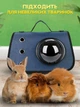 Сумка переноска для котів та собак з ілюмінатором CosmoPet CP-31 Blue - зображення 6
