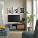 Тумба під телевізор з дверцятами IKEA BESTA 120x42x48 см (594.198.97) - зображення 2