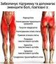 Бандаж тазобедренного сустава RETTER Hip Brace - изображение 3