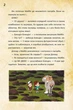 Disney. Гравіт Фолз. Діппер Мейбл і прокляті скарби Піратів Часу ЛП901413У 9786170942982 - зображення 3