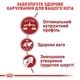 Сухий корм для котів Royal Canin Fit 32, 10+2 кг - домашня птиця - изображение 3