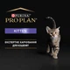 Упаковка влажного корма для котят Purina Pro Plan Kitten до 12 месяцев паштет с курицей 24 шт. х 85 г - изображение 5