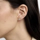 Сережки LUNET з жовтого золота, з діамантами 322913121 - изображение 2