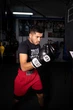 Снарядные перчатки Pro Mex Professional Bag Gloves V3.0 Black (PMHBG3-BK-16oz) - изображение 7