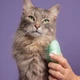 Pet Teezer Cat Grooming Green - изображение 4