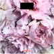 Веси для підлоги ARDESTO SCB-965PEONIES - зображення 1