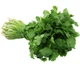 Насіння зелені Кінзи 20 г Елітсортнасіння - зображення 2