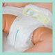 Підгузок Pampers Premium Care Mini Розмір 2 (4-8 кг) 94 шт (8001841104911) - изображение 8