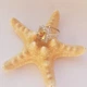 Срібна каблучка з цитрином nano 4.18ct, вага виробу 4,85 гр (2117353) - зображення 3