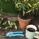 Секатор Gardena Classic обвідний для квітів та молодих пагонів з ергономічними ручками ErgoTec колір чорний - зображення 4