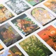 Карти таро Голос Vox – The Voice of Tarot Vox Arcana Cards англійською мовою (338337) - зображення 3