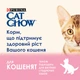 Упаковка влажного корма для котят Purina Cat Chow Kitten кусочки в подливе с ягненком и цуккини 85 г x 26 шт. - изображение 5