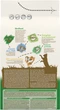 Сухой корм для взрослых стерилизованных кошек Purina Cat Chow Sterilised с индейкой 1.5 кг - изображение 4