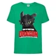 Футболка детская Как приручить дракона (DRAGONS) зеленая (dragon-05-green) 140 см - изображение 1