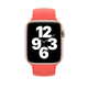 Силиконовый монобраслет для Apple Watch 42/44/45/49 mm 170 mm Оранжевый - изображение 2