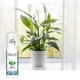 Спрей очисник повітря Nutriexpert 77 ефірних олій / BRUME AUX HUILES ESSENTIELLES (77HE), 125 мл (LIDK56) - зображення 3