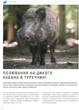 Журнал Megatour #13. Лето - 2023 - изображение 4
