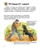 Енциклопедія дошкільника (нова) : Собаки - изображение 5