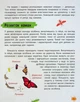 Мініенциклопедія. Комахи та павуки - изображение 7
