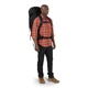 Туристический рюкзак Osprey Kestrel 68 Black S/M (009.3301) - изображение 8