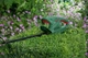 Кусторез электрический Bosch EasyHedgeCut 45 (0600847A05) - изображение 2