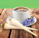 Насіння Цикорій Кавовий, 1 г (Anseme) - зображення 2