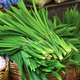 Насіння Лемонграс, цимбопогон, 0,05 г (Hem Zaden) - зображення 2