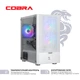 Персональный компьютер COBRA Advanced (I11F.16.H2S2.165S.A4429) - изображение 3