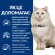 Корм Hill's Prescription Diet Feline C/D Urinary Stress Chicken сухой лечебный для кошек с заболеваниями мочевыводящих путей 0.4 кг - изображение 2