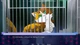 Ключ активации Animal Lover для Xbox One/Series S/X - изображение 7