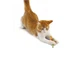 Игрушка для котов Petstages Толстые хвостики (0871864003106) - изображение 2