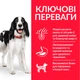 Корм Hill's Science Plan Canine Adult Medium Breed Chicken сухий з куркою для собак середніх порід 2.5 кг - зображення 2