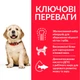 Корм Hill's Science Plan Puppy Large Breed Chicken сухий з куркою для щенят великих та гігантських порід 14.5 кг - зображення 2