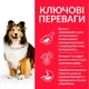 Корм Hill's Science Plan Canine Adult Sensitive Stomach & Skin Medium сухий з куркою для собак з чутливим травленням середніх порід 2.5 кг - зображення 2