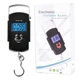 Кантер WH-A08, 50кг (10г) - изображение 2