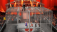 Гра Sony PlayStation 3 WWE SmackDown vs. Raw 2011 Англійська Версія Б/У - зображення 4