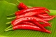 Семена Перец острый Ангарика F1 Nong Woo Bio, 10 шт - изображение 4
