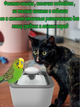 Автоматическая поилка-фонтан Water-Fountain, поильник для кошек собак (PWF) - изображение 8