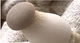 Мицелий Вешенки королевской, Pleurotus eryngii 100 г - изображение 7
