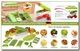 Овочерізка універсальна Nicer Dicer Plus Найсер Дайсер Плюс Салатовий (2344NDCR) CLS55 - зображення 5