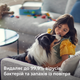 Очиститель воздуха PHILIPS AC0850/11 - изображение 15
